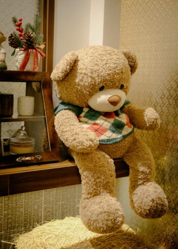 Little Teddy bear